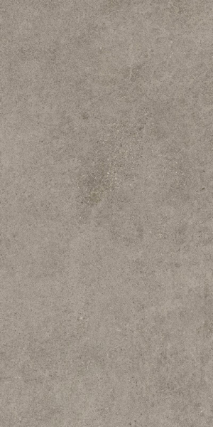 Керамогранит / Atlas Concorde Russia /Forte Dei Marmi Rock/ Форте Дей Марми Рок / Лунар Грей 60х120 рет. / Lunar Grey Rett 60x120